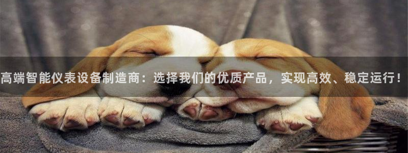 新宝gg招商