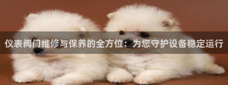 新宝gg创建奇迹