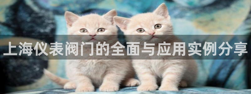 分分新宝gg