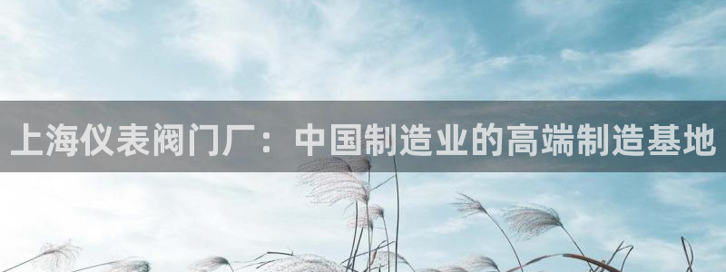 收新宝gg