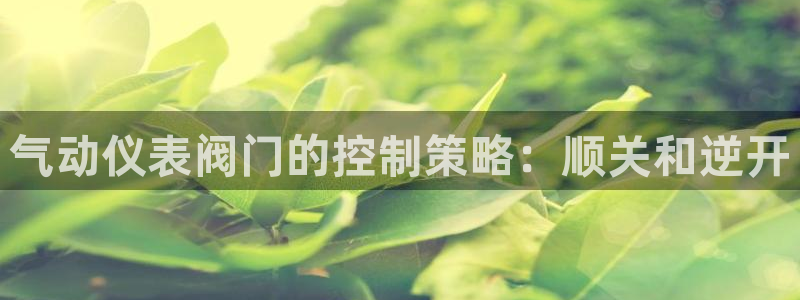 宝新gg注册