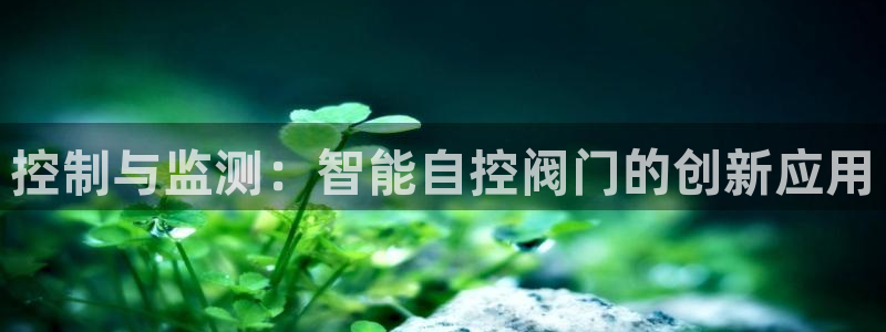 新宝gg测速登录