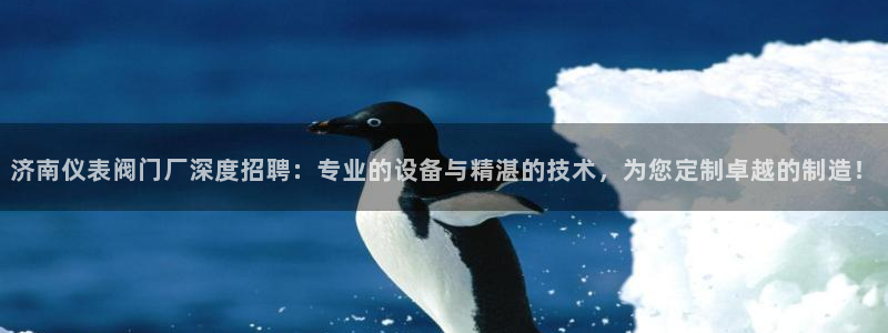 新宝gg总代理