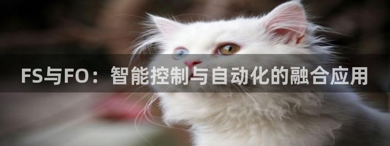 新宝gg怎么样