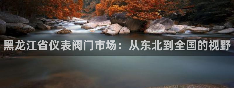 新宝gg代理
