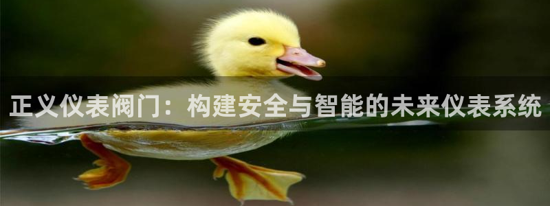 新宝gg真的
