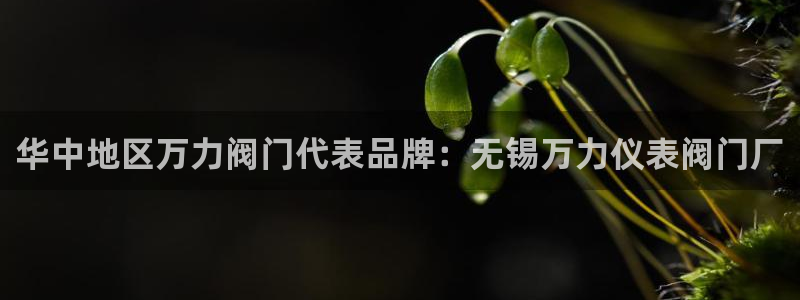 新宝gg 奇迹