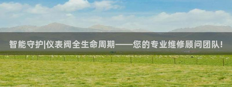 新宝gg账号