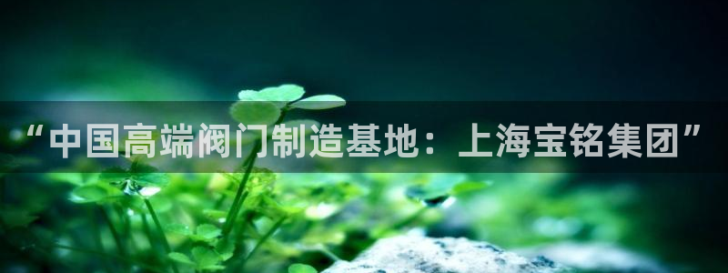 新宝gg平台开户