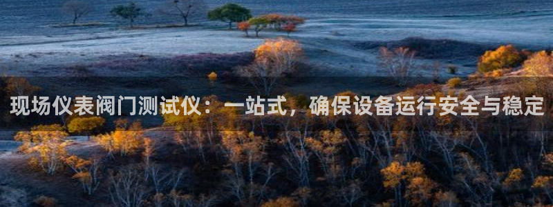 新宝gg注册登录网址