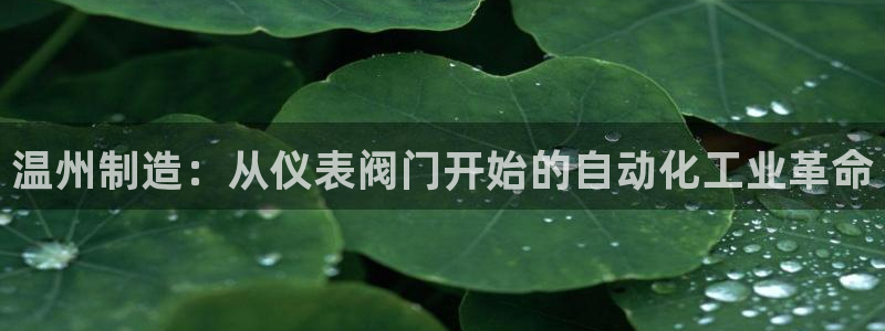 新宝gg主管