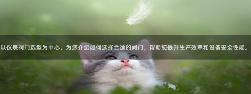 新宝gg开户