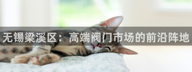 新宝gg 内部 8