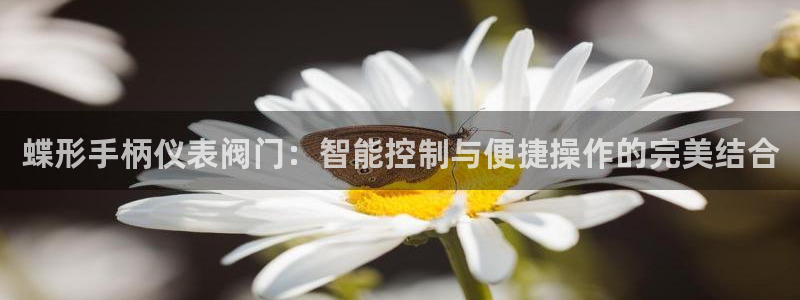新宝gg线路