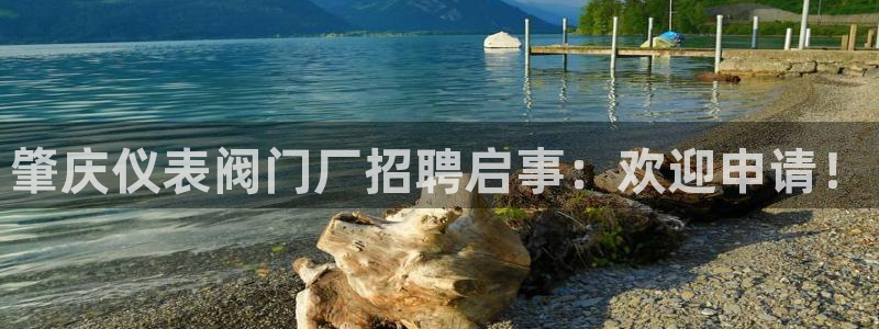 新宝GG亚洲