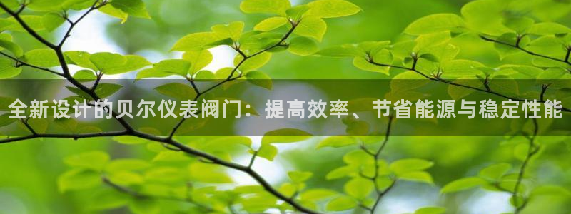 新宝gg 创造