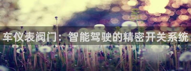 新宝哈哈gg