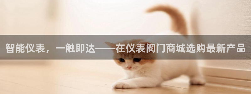 11新宝gg