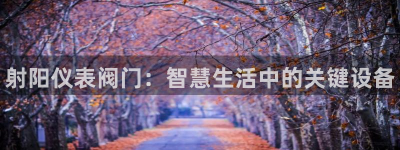 新宝新宝gg开户流程