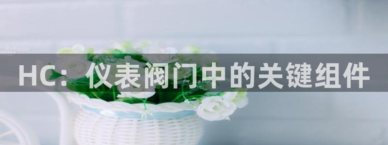 新宝gg平台登录