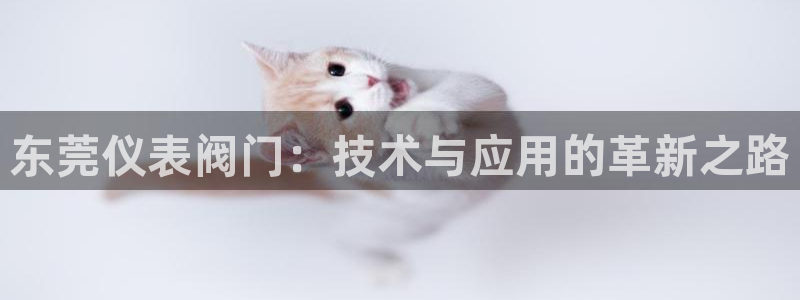 新宝gg走势