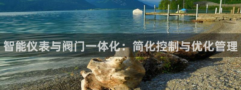 太阳gg和新宝gg