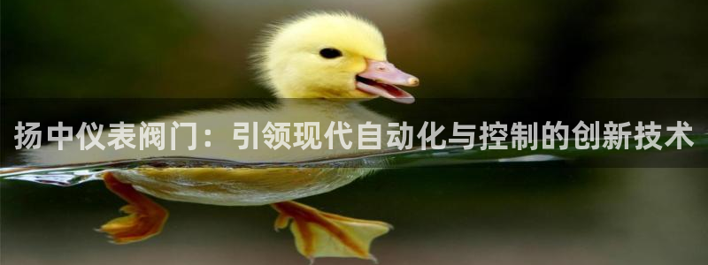 新宝gg直