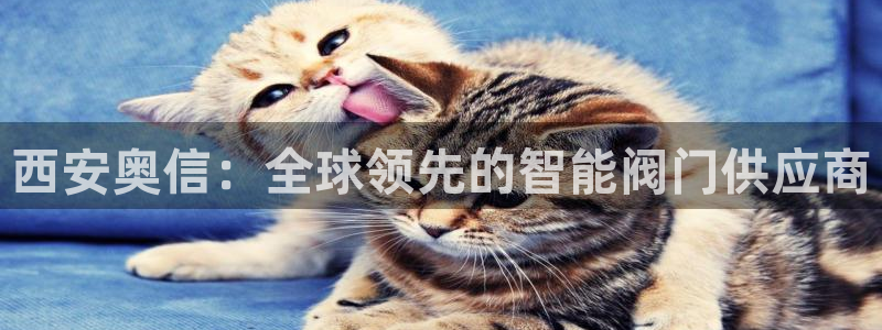 新宝新宝gg开户流程