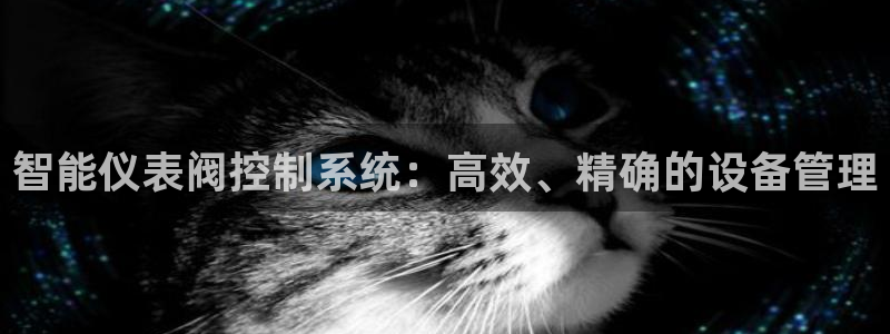 新宝gg成立