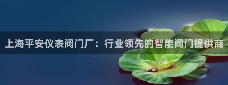 新宝皇冠gg