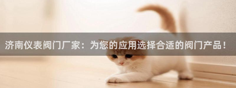 宝新gg