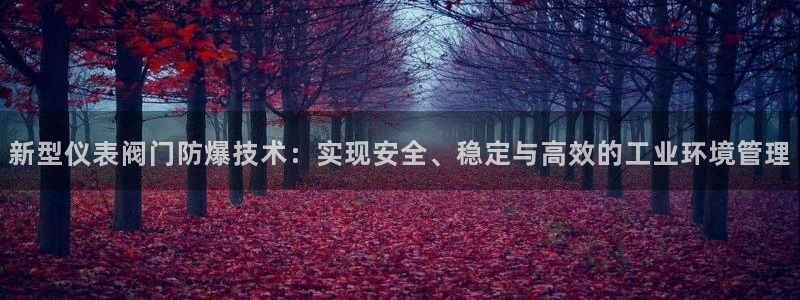 新宝_GG奇迹