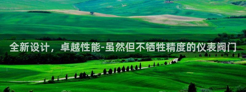 新宝gg评论