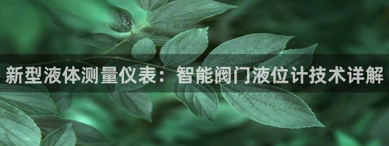 新宝gg网址