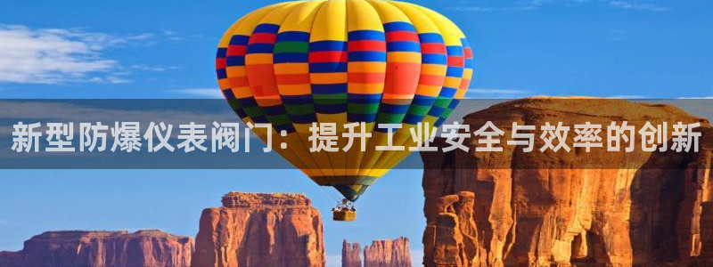新宝gg介绍