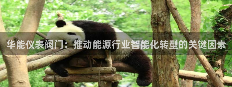 新宝GG最高返点多少