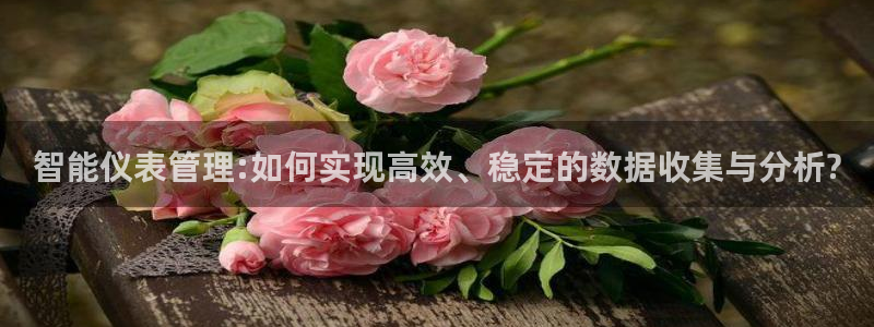 新宝gg正规