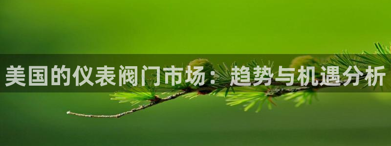 新宝GG娱乐-上皇巢网
