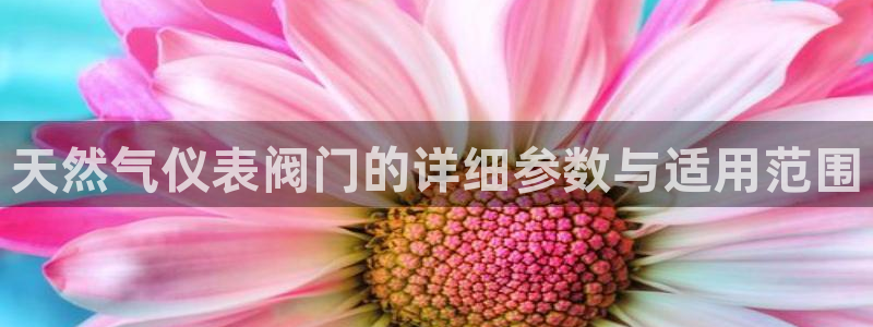 怎么下载新宝gg