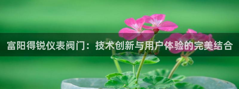 www.新宝gg