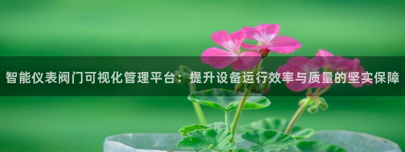 新宝GG管理