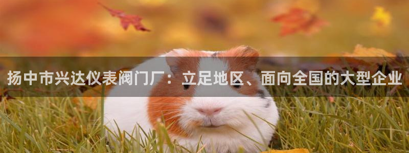 新宝GG无法充值