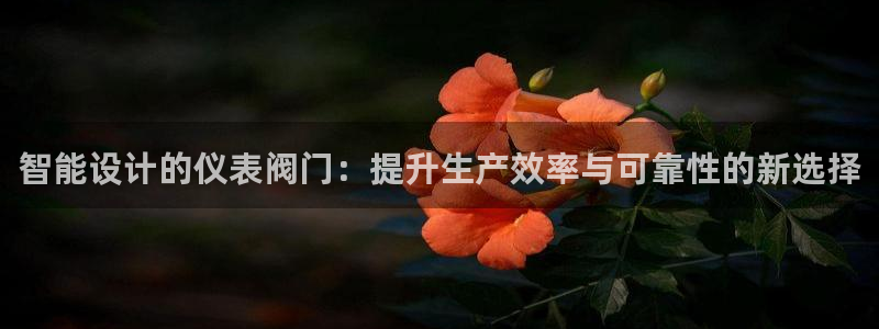 分分新宝gg