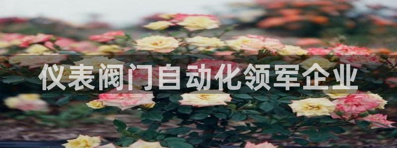 新宝GG玩家