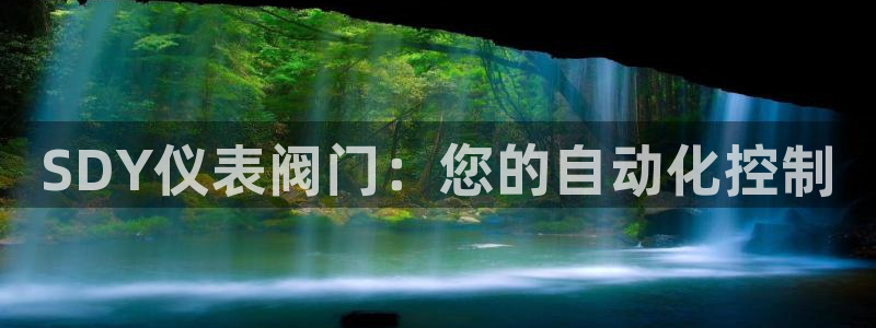 新宝gg手机版下载
