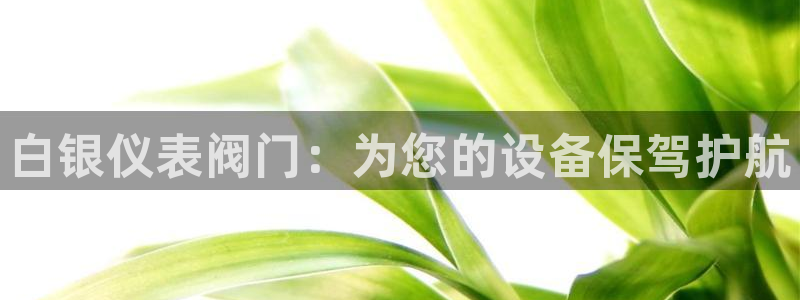 新宝gg指定平台