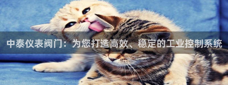 新宝gg 彩票