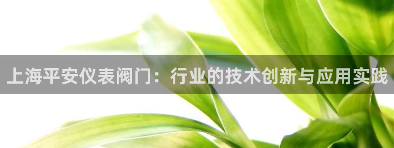 新宝GG网址新宝2