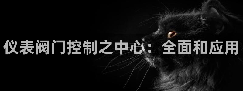 新宝gg代理条件