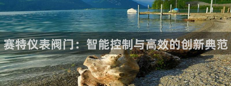 新宝gg如何注册登录